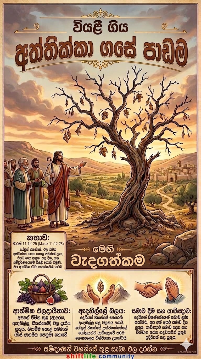 The Fig Tree – Withered .අත්තික්කා ගස වියළි යයි.